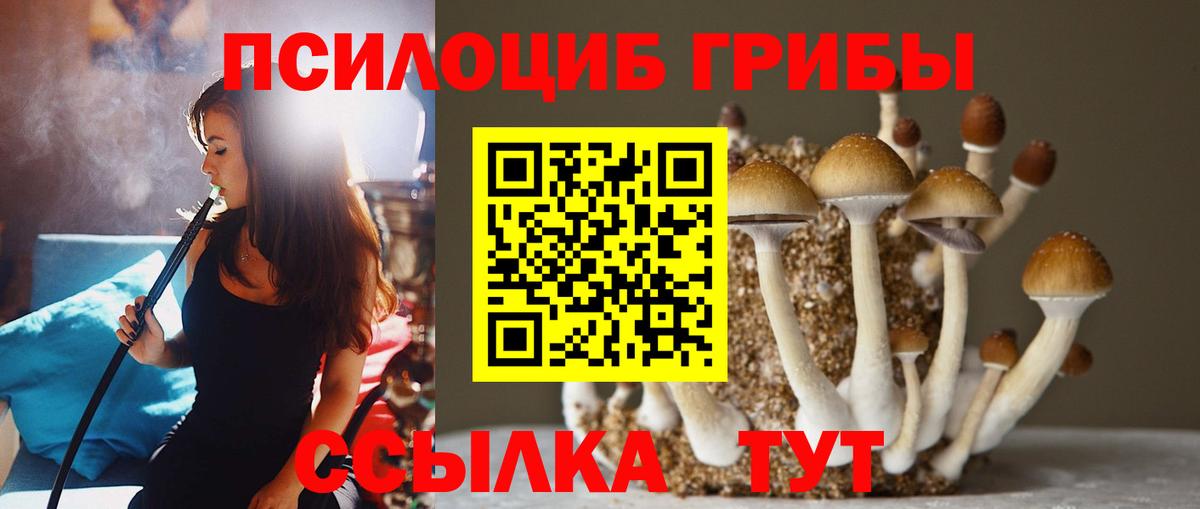 Родники  Галлюциногенные грибы Psilocybe  Вход с VPN 